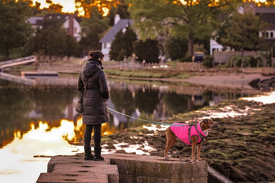 ペットコミュニティの魅力とおすすめSNSアプリ